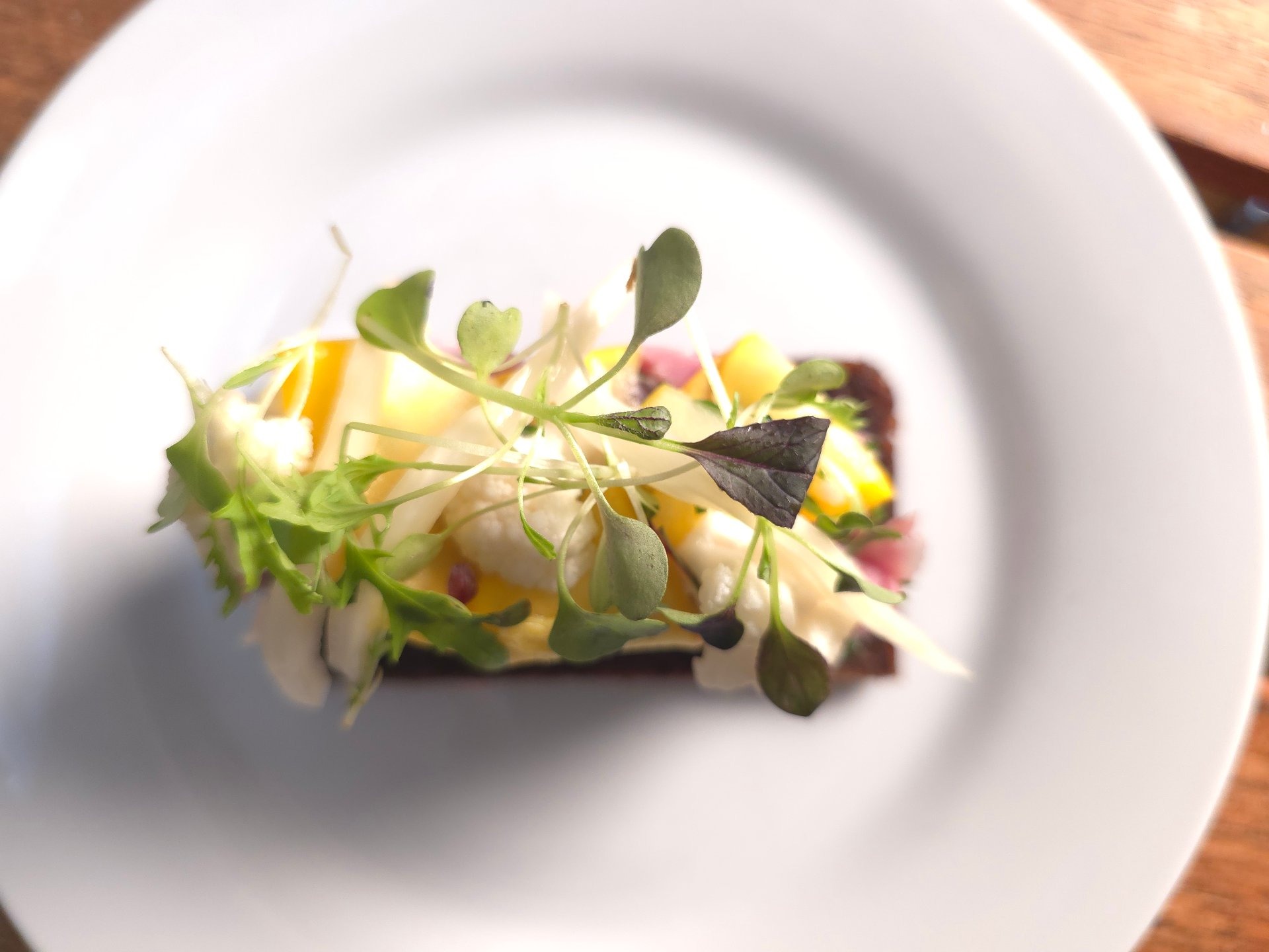 Feasting menus by Chef Michelle Cirillo