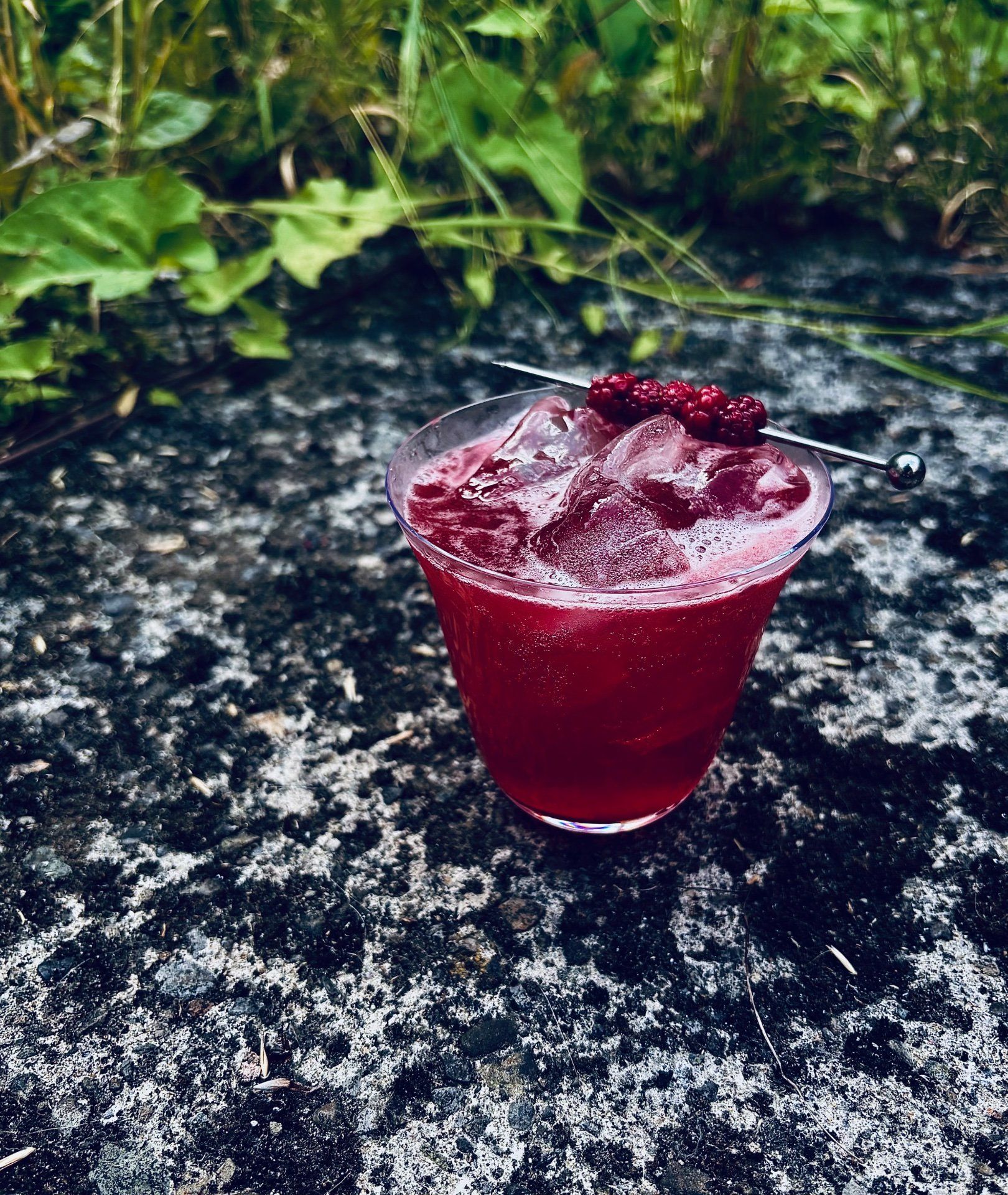 Personal Bartender/Chef, Tapas and Cocktail Menu for Party
