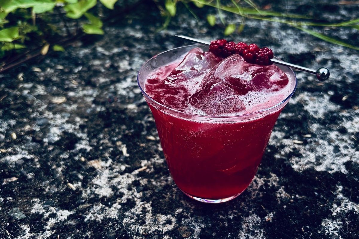 Personal Bartender/Chef, Tapas and Cocktail Menu for Party
