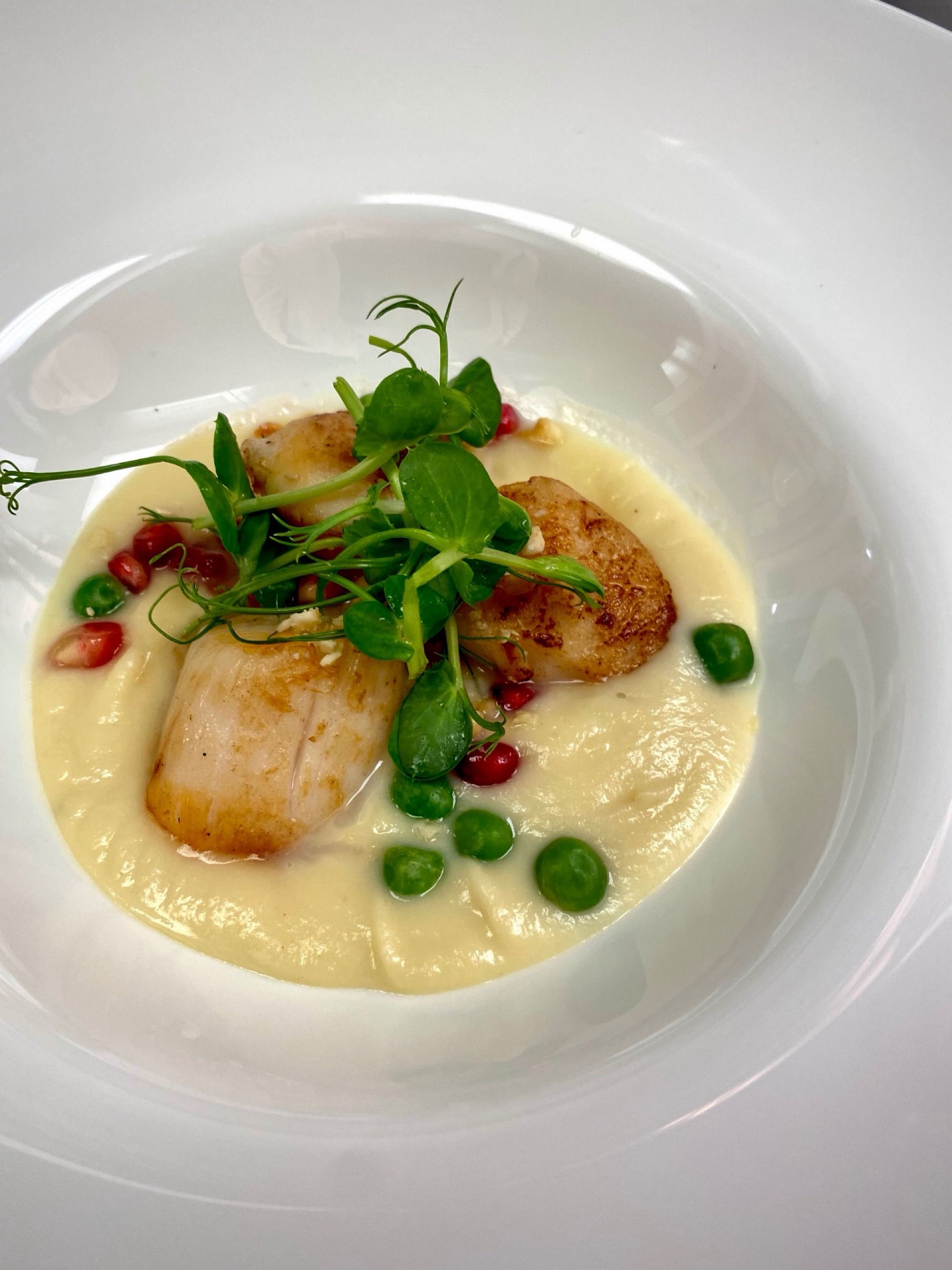 Private Chef Experience | Elegant Italian & Seasonal Menus