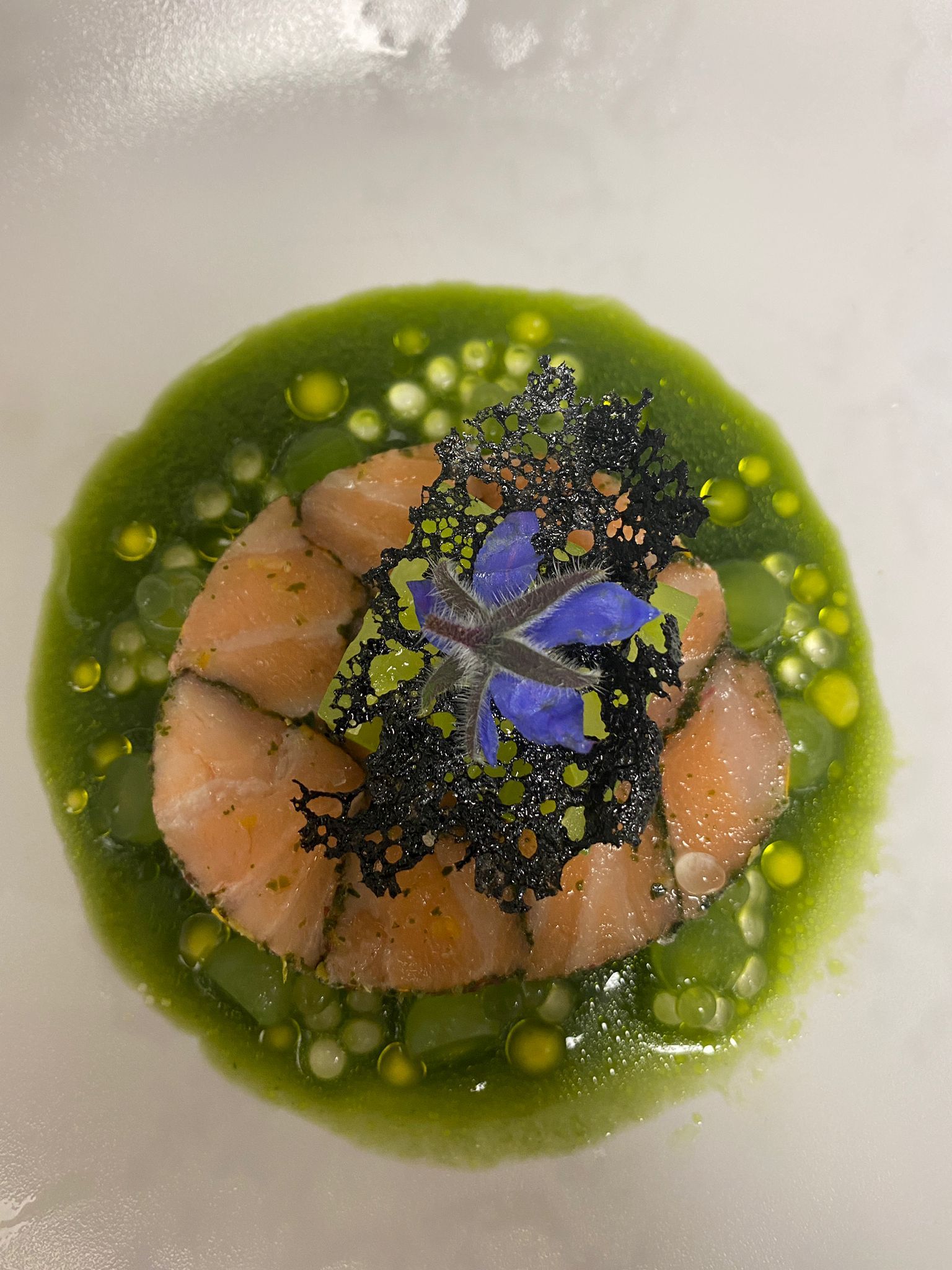 From Comfort Food to Fine Dining at Home