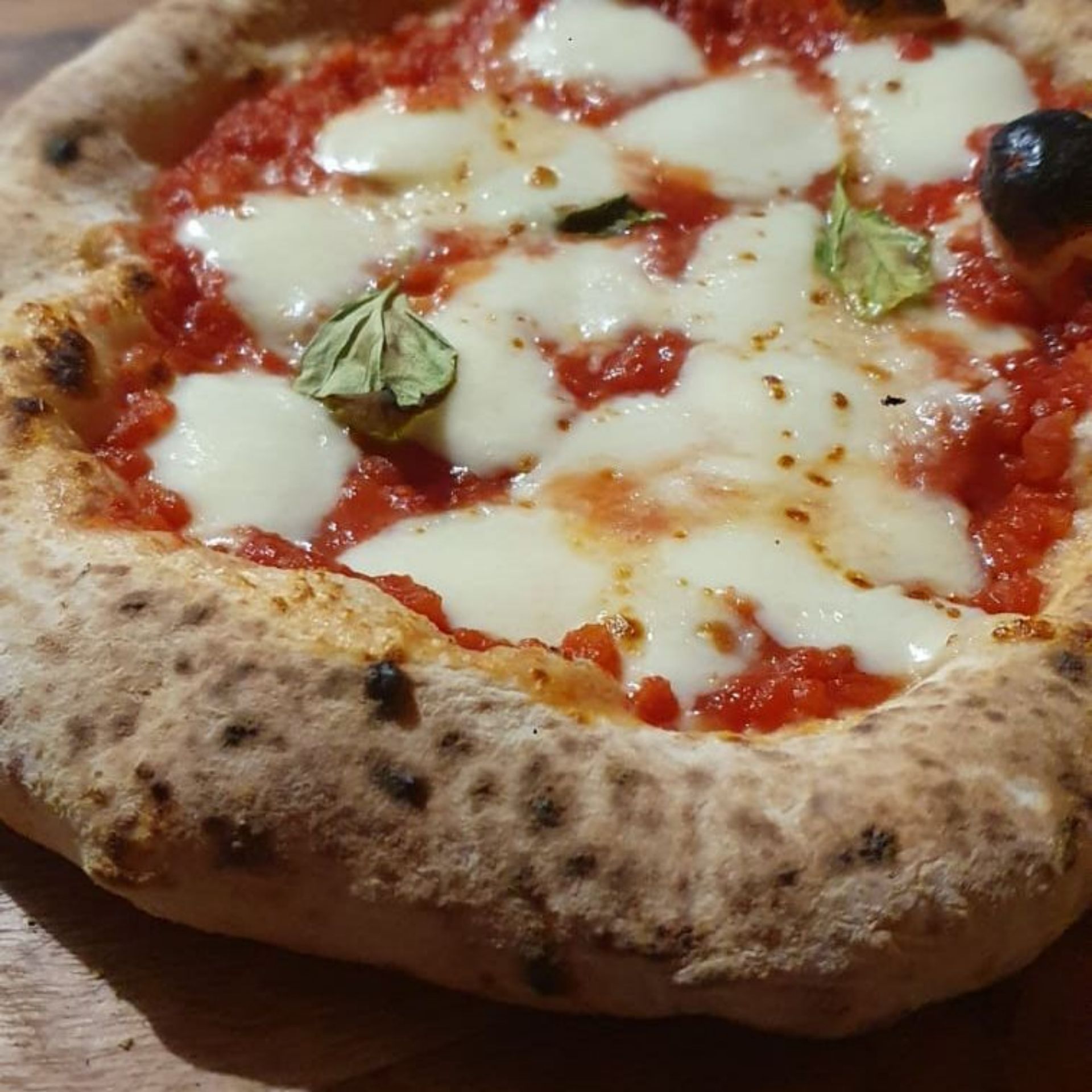 Mozzarella and Pizza ( with Pizza Chef )